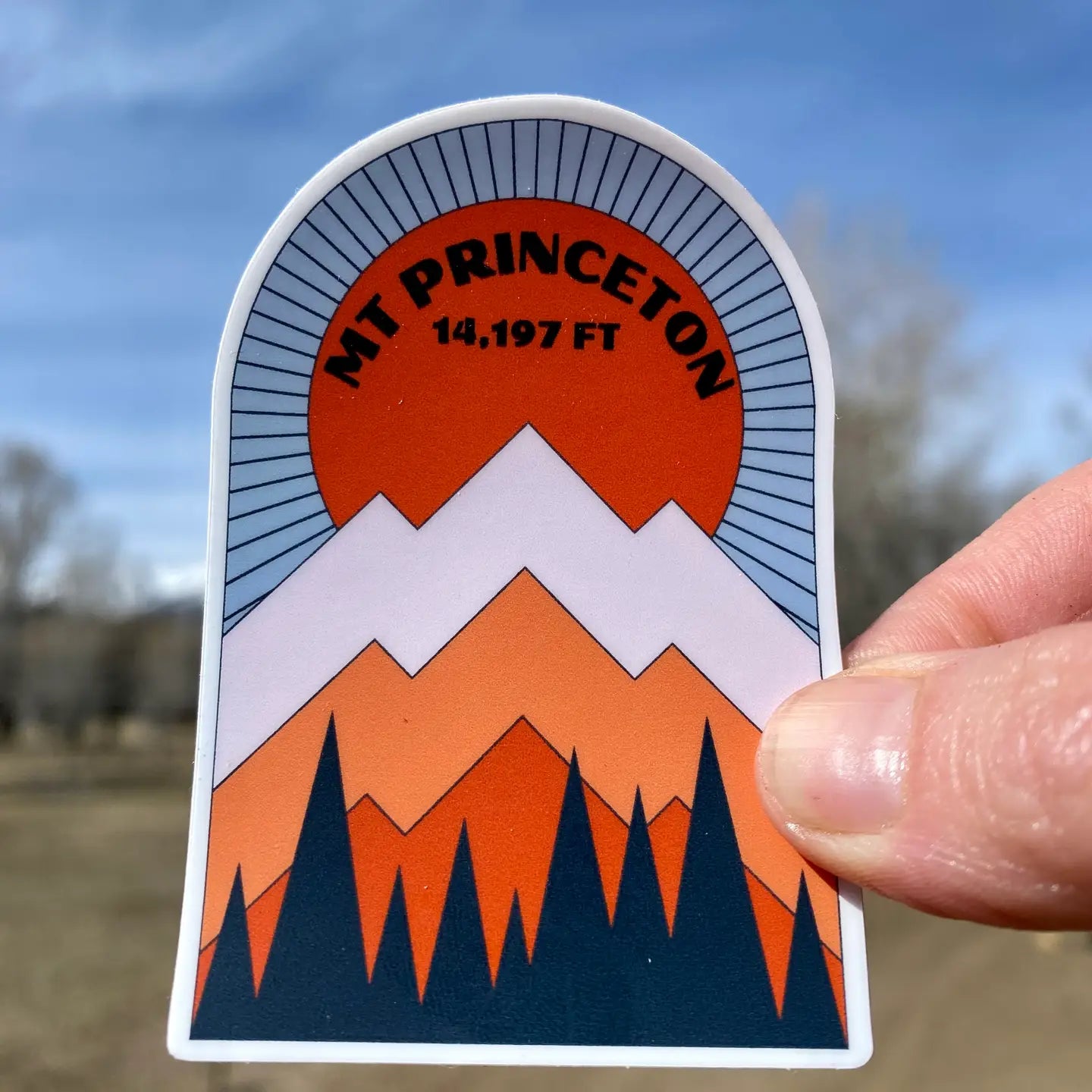 Spruce Seed Stickers