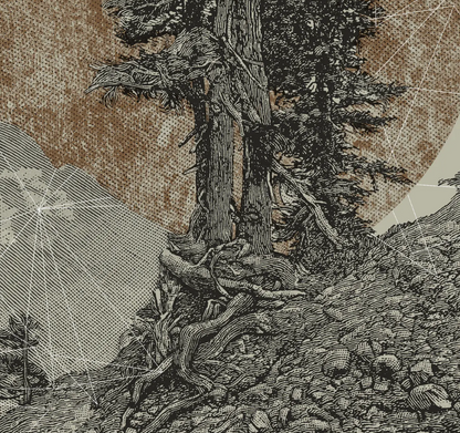 Timberline Tee