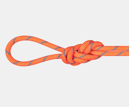Mammut Climbing Ropes