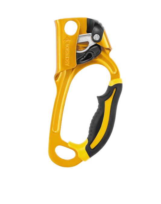 PETZL Ascension