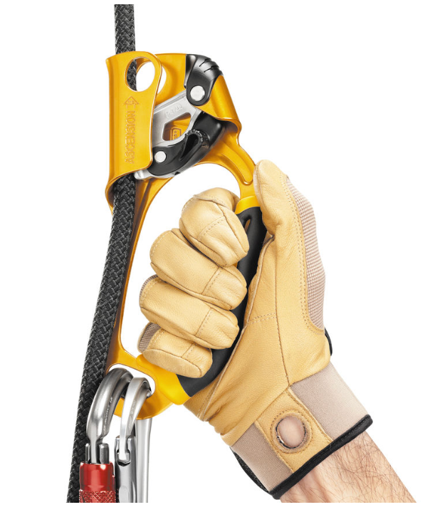 PETZL Ascension