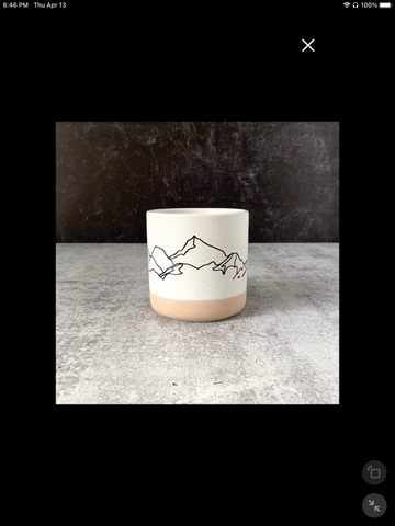 Corvidae Ceramic Mug